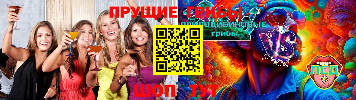 Верхняя Пышма  Галлюциногенные грибы Magic Shrooms  Вход с VPN 